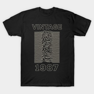 Vintage 1987 - Unknown Pleasures T-Shirt